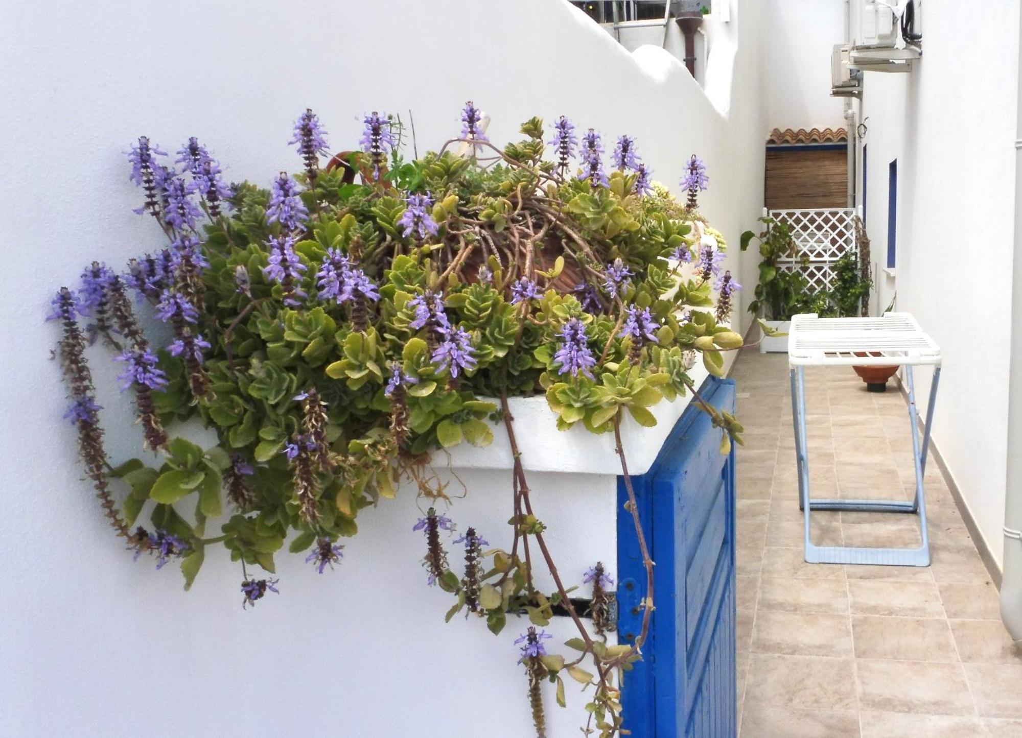Sa Caletta Appartamenti Portoscuso Kültér fotó